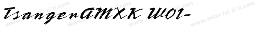 TsangerAMXK W01字体转换